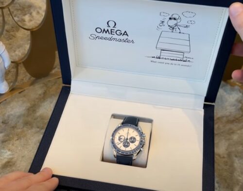 Omega Speedmaster Anniversary Silver Snoopy Award photo review